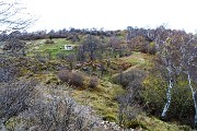 64 Rientro seguendo il sent. 531 con vista sulla Stalla Fopp